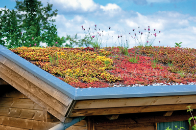 Si les toits végétalisés sont résolument tendance, c'est aussi parce qu'ils imposent un cercle vertueux en matière de gestion environnementale. Renouvellement de l'air, absorption des rejets de CO2, amortissement du flux de l'eau lors de grosses averses comptent au nombre de leurs principaux atouts.