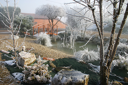 Été comme hiver, le bassin est le centre névralgique du jardin, il existe des pompes d’hiver permettant de protéger la vie aquatique.