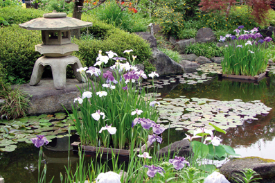    Les éléments d'ornement s'intègrent parfaitement dans le paysage. Ici, une lanterne en pierre traditionnellement utilisée au Japon pour guider les invités vers l’habitation, la maison des thés ou le temple.