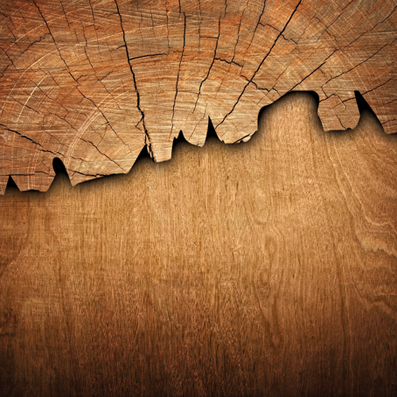 Les constructeurs bois et charpentiers bois sont les référents en matière de construction de charpentes en bois reconnue pour s'adapter aux sols difficiles
