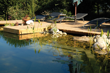 L’entretien des piscines naturelles repose sur des plantes aquatiques aux fonctions épuratives et oxygénantes.